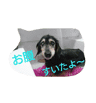 コアとツヨシ（個別スタンプ：3）