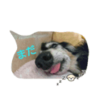 コアとツヨシ（個別スタンプ：4）