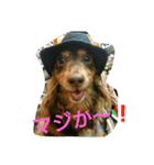 コアとツヨシ（個別スタンプ：5）