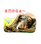 コアとツヨシ（個別スタンプ：7）