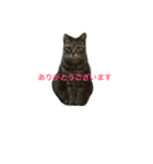 さちこだよ（個別スタンプ：10）