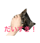 さちこだよ（個別スタンプ：13）