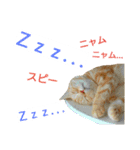 猫のあんず(＆しずく)です⑧（個別スタンプ：24）