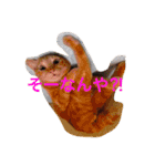 nekonekonekono（個別スタンプ：4）
