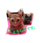 nekonekonekono（個別スタンプ：22）