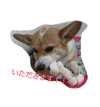 はなちゃんとコウタくん（個別スタンプ：12）
