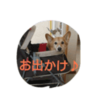 はなちゃんとコウタくん（個別スタンプ：16）