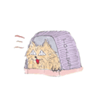 うちの猫ぶん太（個別スタンプ：9）