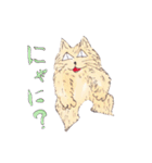 うちの猫ぶん太（個別スタンプ：13）