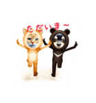 ウチのワンニャン（個別スタンプ：6）