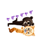 ウチのワンニャン（個別スタンプ：11）