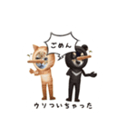 ウチのワンニャン（個別スタンプ：16）