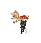 ウチのワンニャン（個別スタンプ：17）