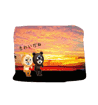 ウチのワンニャン（個別スタンプ：19）