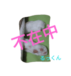 ぬこといたち（個別スタンプ：7）