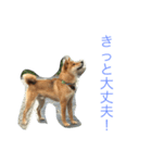 Love Riki（個別スタンプ：2）