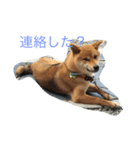 Love Riki（個別スタンプ：3）