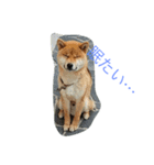 Love Riki（個別スタンプ：4）