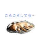 Love Riki（個別スタンプ：5）