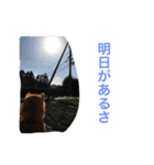 Love Riki（個別スタンプ：6）