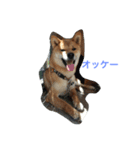 Love Riki（個別スタンプ：7）