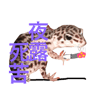 こひろスタンプ 3（個別スタンプ：5）