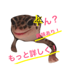 こひろスタンプ 3（個別スタンプ：6）