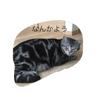 yuujirou（個別スタンプ：2）