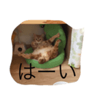 yuujirou（個別スタンプ：5）