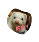 うちのフェレット（個別スタンプ：14）