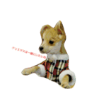 pomepomedog（個別スタンプ：4）