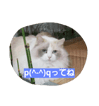 momo＆meryl（個別スタンプ：1）