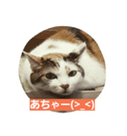 momo＆meryl（個別スタンプ：2）