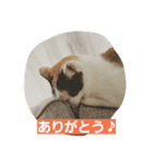 momo＆meryl（個別スタンプ：3）