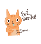 Starving Cat（個別スタンプ：5）