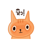 Starving Cat（個別スタンプ：10）