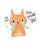 Starving Cat（個別スタンプ：11）