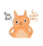 Starving Cat（個別スタンプ：12）