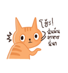 Starving Cat（個別スタンプ：13）