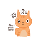 Starving Cat（個別スタンプ：16）