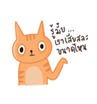 Starving Cat（個別スタンプ：25）