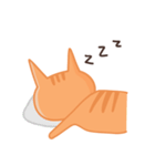 Starving Cat（個別スタンプ：33）
