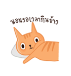 Starving Cat（個別スタンプ：34）