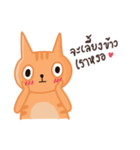 Starving Cat（個別スタンプ：36）