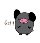 Pig P（個別スタンプ：4）