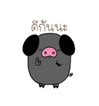 Pig P（個別スタンプ：5）