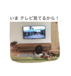 ゆづちゃんのにちじょう★（個別スタンプ：15）