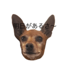 ミチオ青春記（個別スタンプ：2）