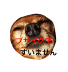 ミチオ青春記（個別スタンプ：3）