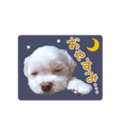 ぼくチョビン（個別スタンプ：3）